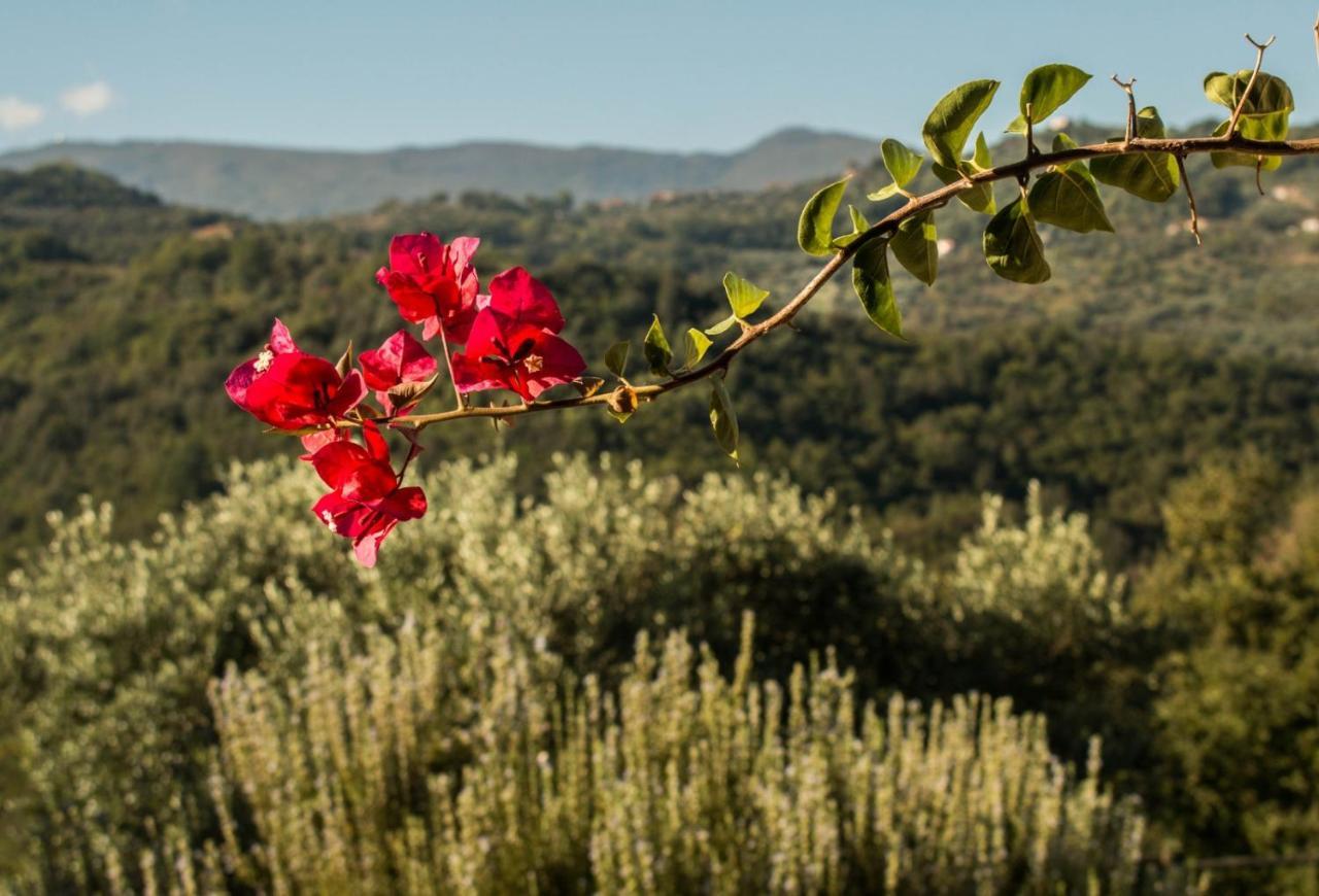 Casale I Cirillo Bed & Breakfast Rutino Exterior photo