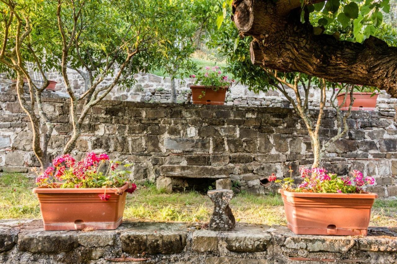 Casale I Cirillo Bed & Breakfast Rutino Exterior photo