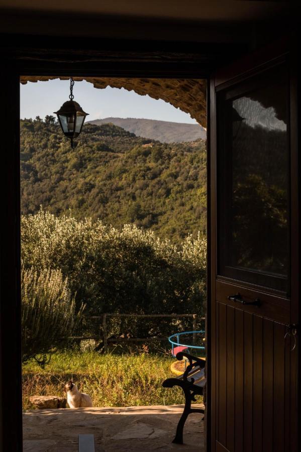 Casale I Cirillo Bed & Breakfast Rutino Exterior photo